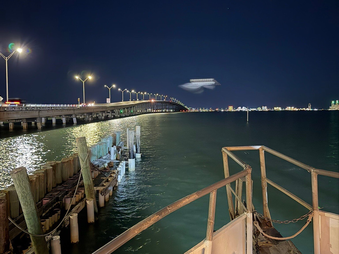 Dolphin Docks-Port Isabel必去景点
