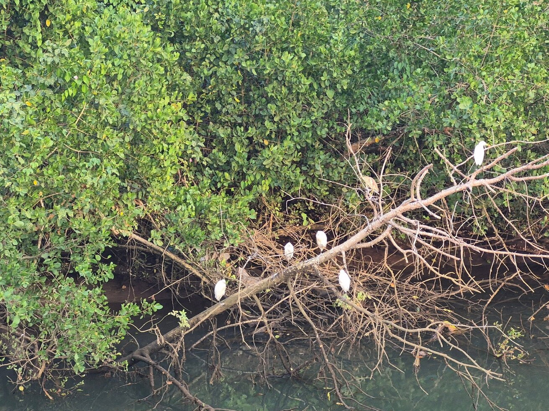 John's Boat Tours - Day Tours-坎多林必去景点