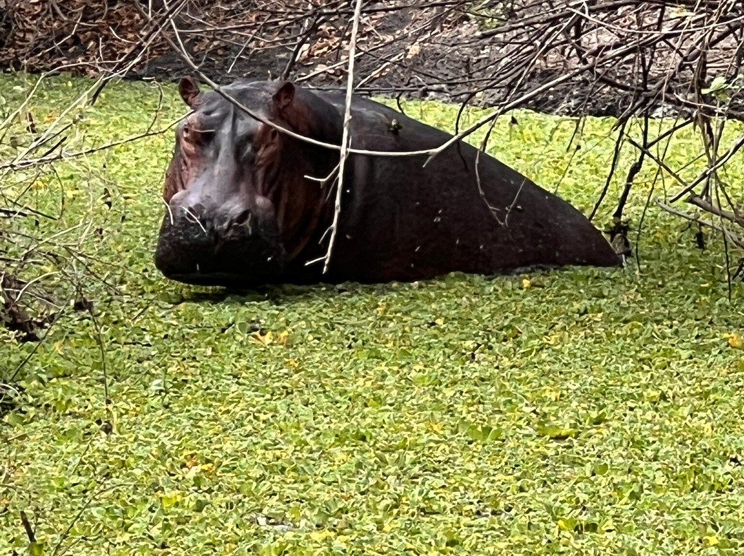 Salum Travel-Mikumi必去景点