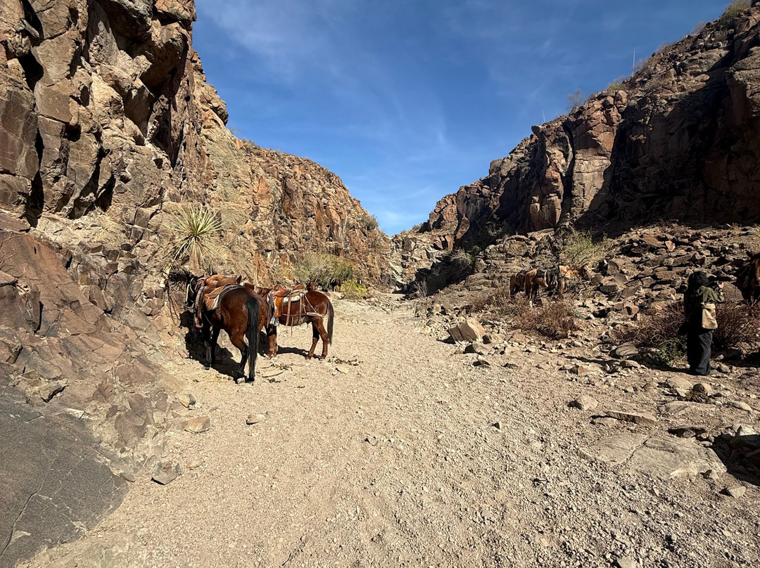 Big Bend & Lajitas Stables-Terlingua必去景点