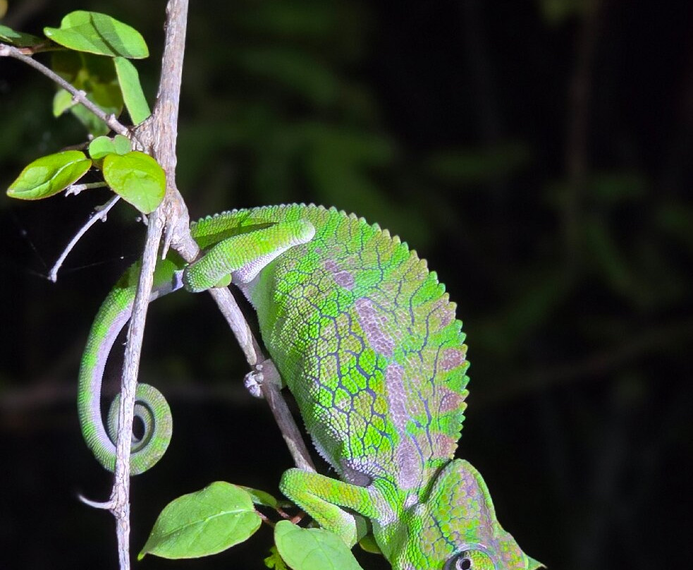 Soul of Madagascar Tours-Toamasina (Tamatave)必去景点