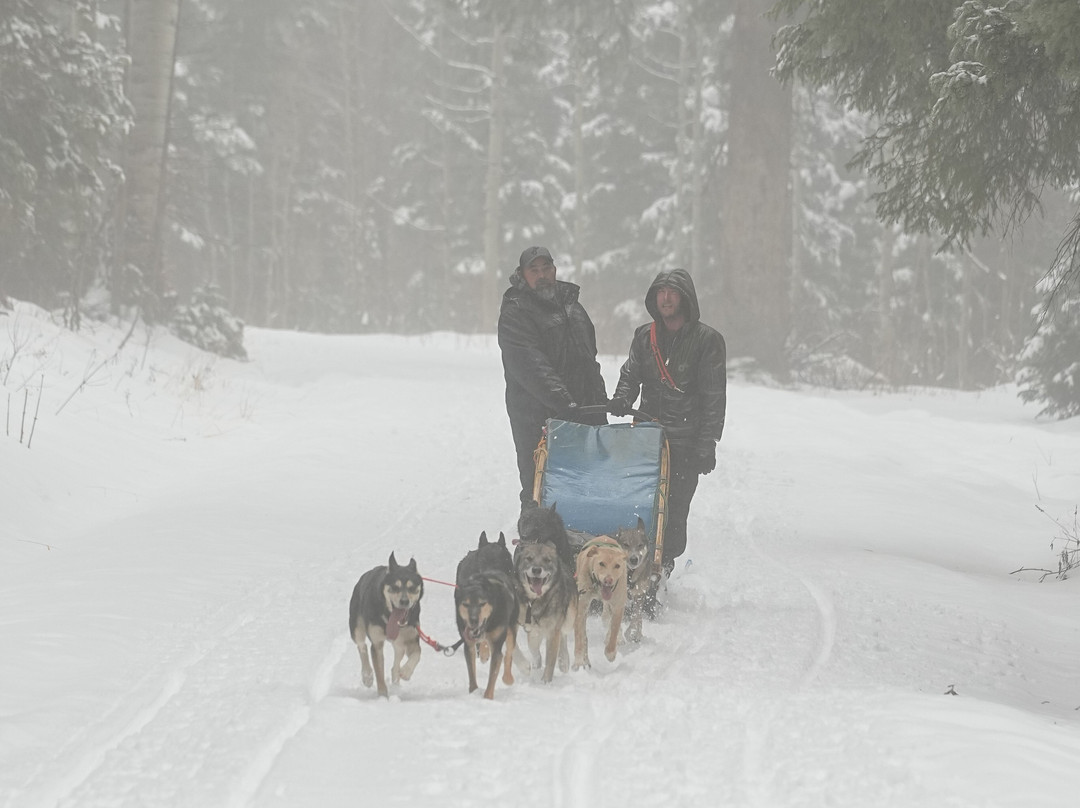 Durango Dog Ranch-杜兰戈必去景点