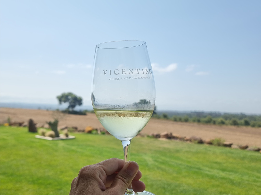 Vicentino Wines-Odemira必去景点