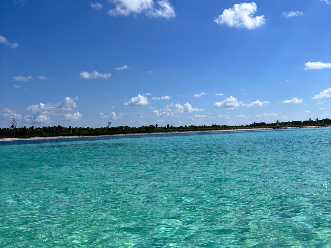 Agence D'excursion en Français Electric Bike Rental-普拉亚德尔卡曼必去景点