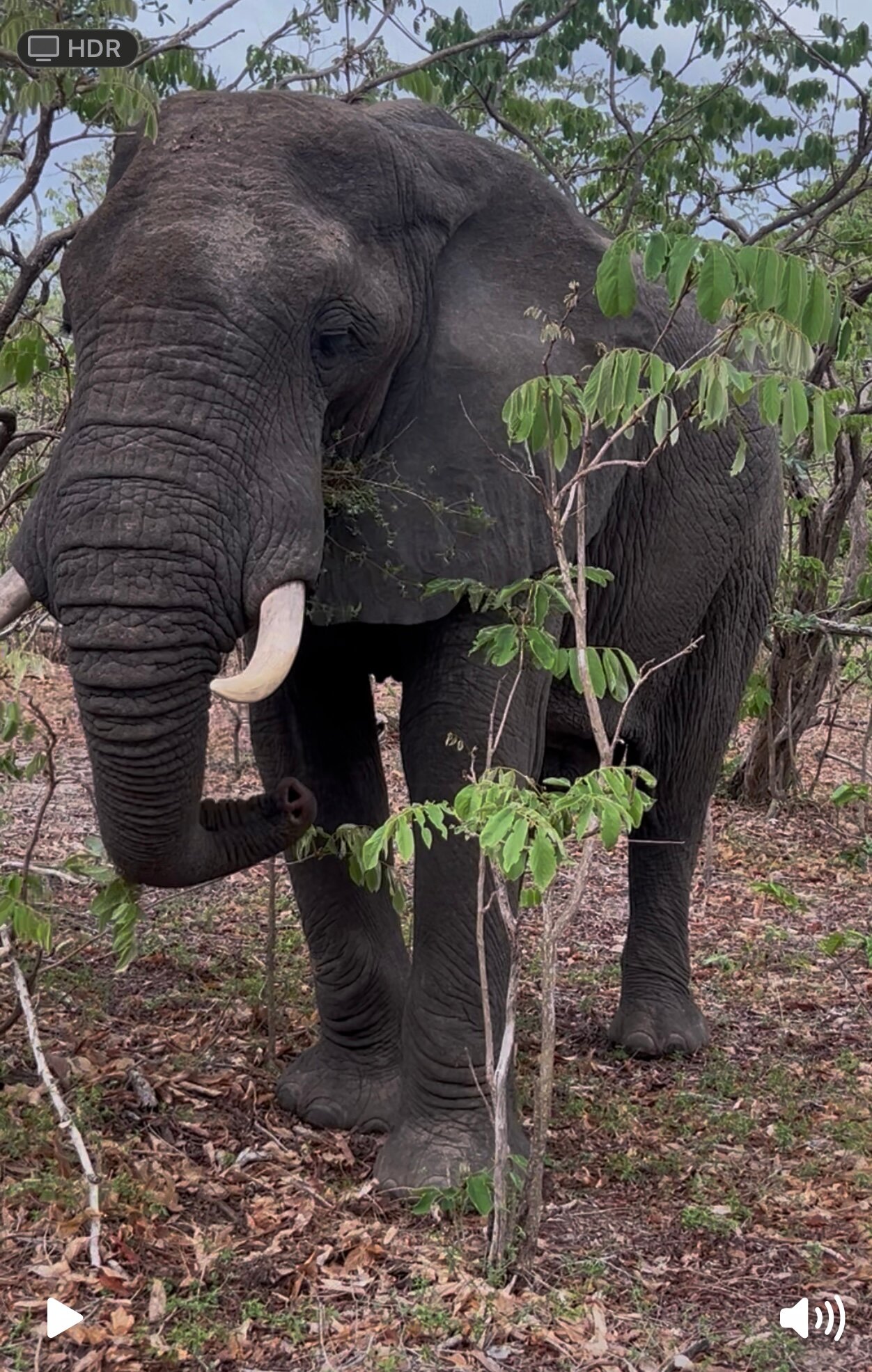 Rufiji River Camp-官方