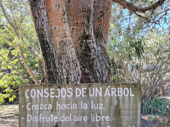 海洋博物馆-La Barra必去景点