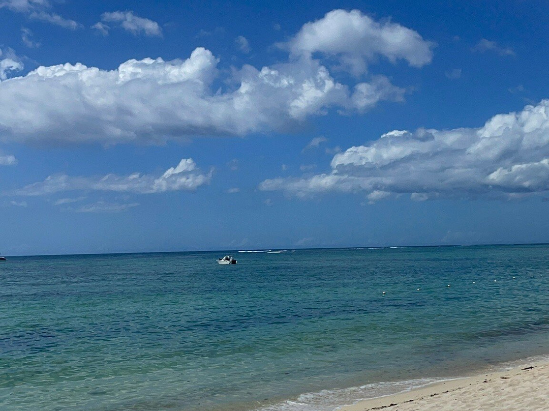 Calypso boat tours Mauritius-蓝湾必去景点