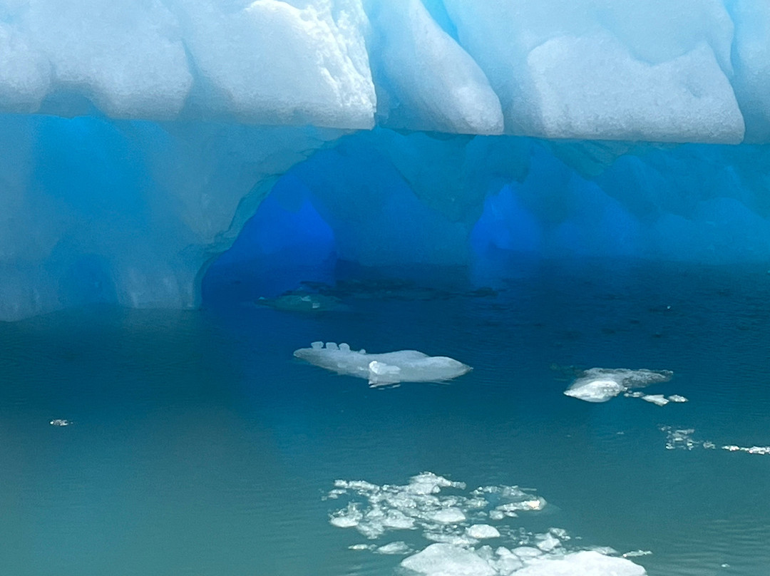 Canales Australes-Tortel必去景点