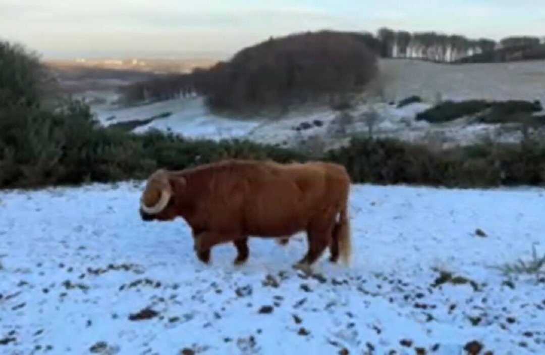 Pentland Hills-爱丁堡必去景点