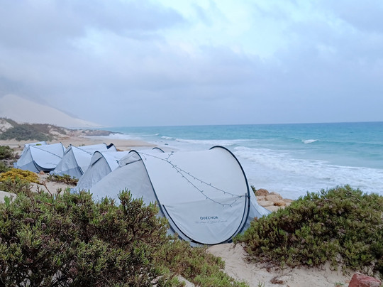 Wild Spirit Socotra-Hadiboh必去景点