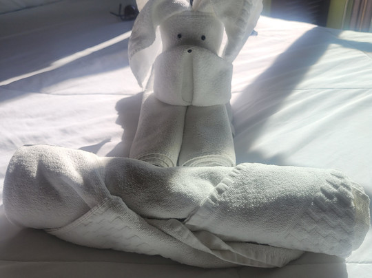 Ubatuba Eco Hotel主图