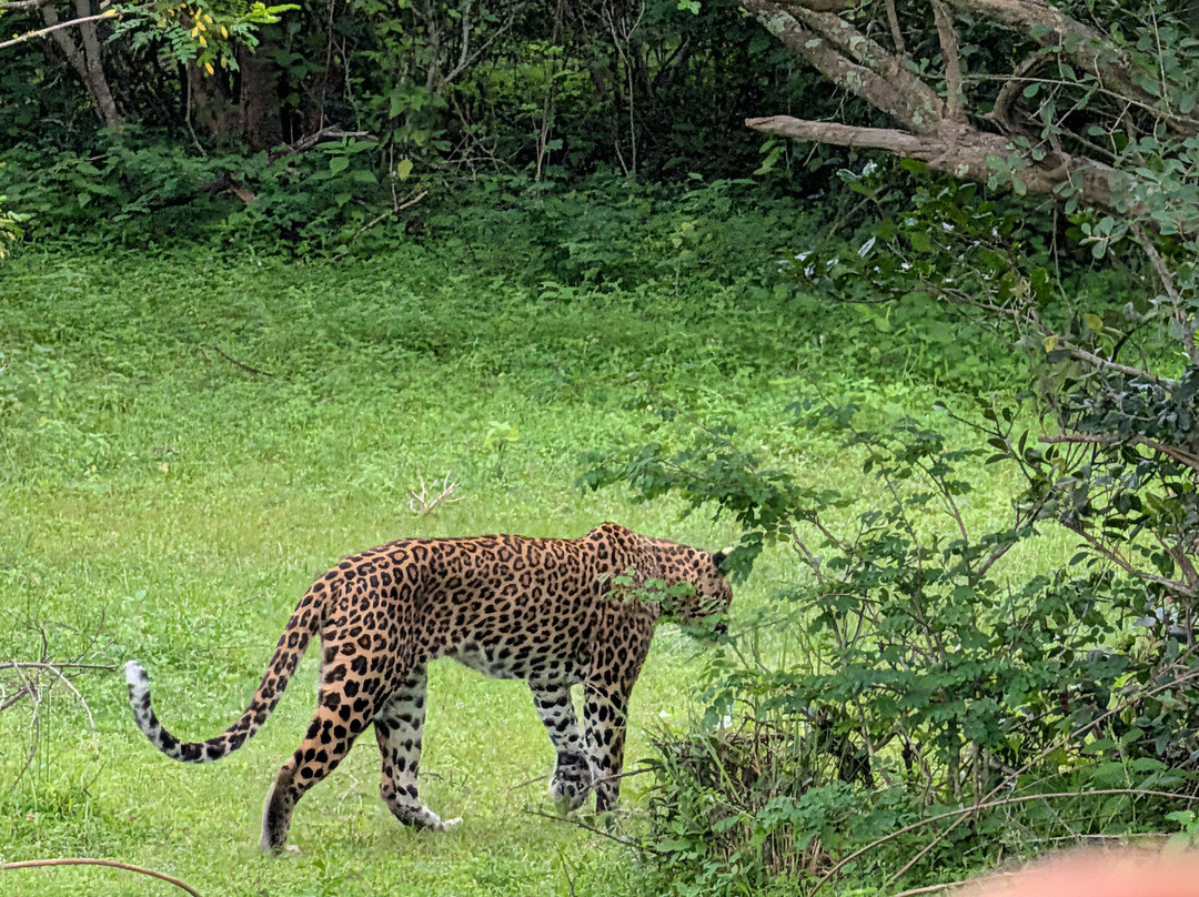 Sri Lanka Wide Tours-科伦坡必去景点