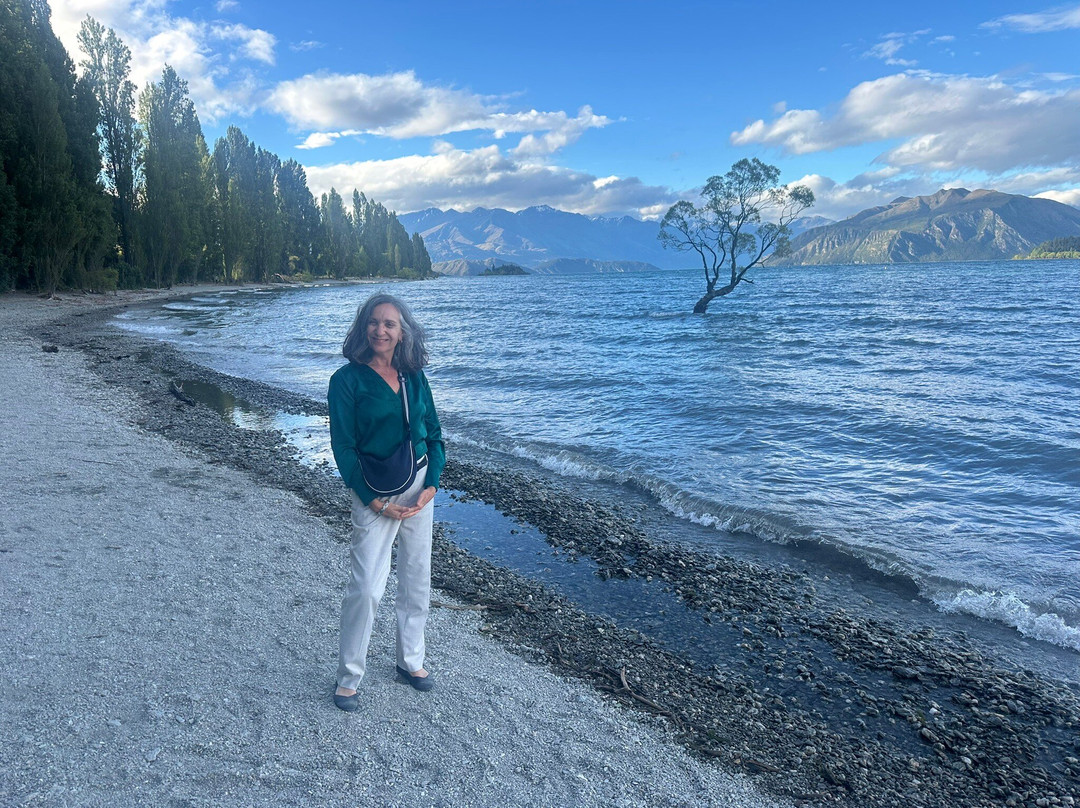 That Wanaka Tree-瓦纳卡必去景点