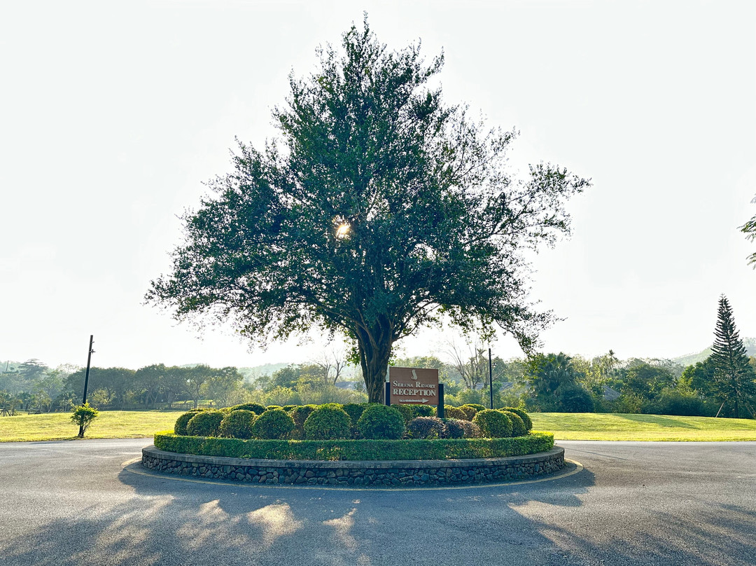 Serena Resort Kim Boi主图