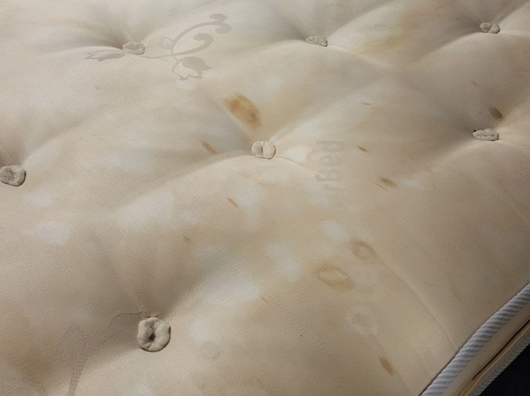 Travelodge Swansea Central主图