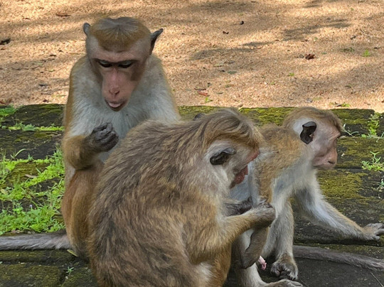普赖米特中心旅馆主图