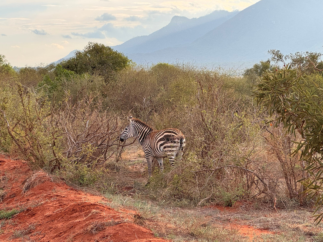 Watamu Diego Safari Day Tours-瓦塔木必去景点