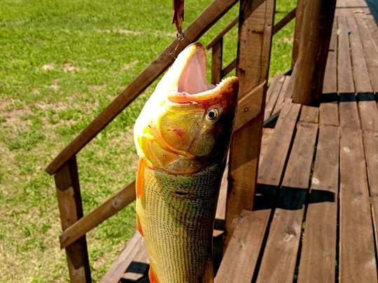 EcoTurismo Nautico-Belen de Escobar必去景点