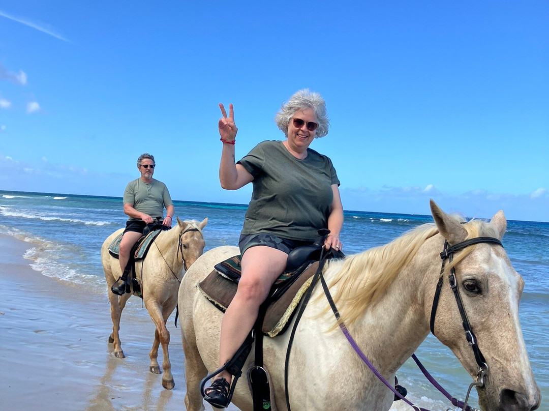 Equus Rides Horseback Riding St. Croix-Frederiksted必去景点
