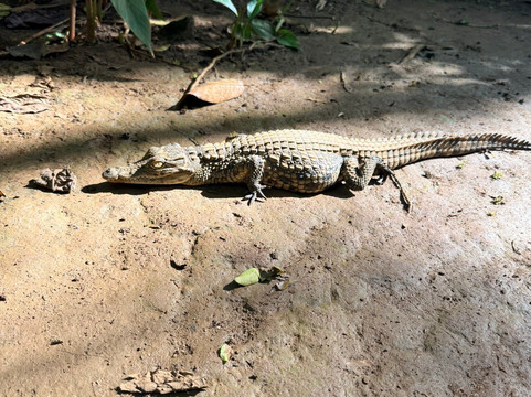 Fun & Boat-诺西贝必去景点