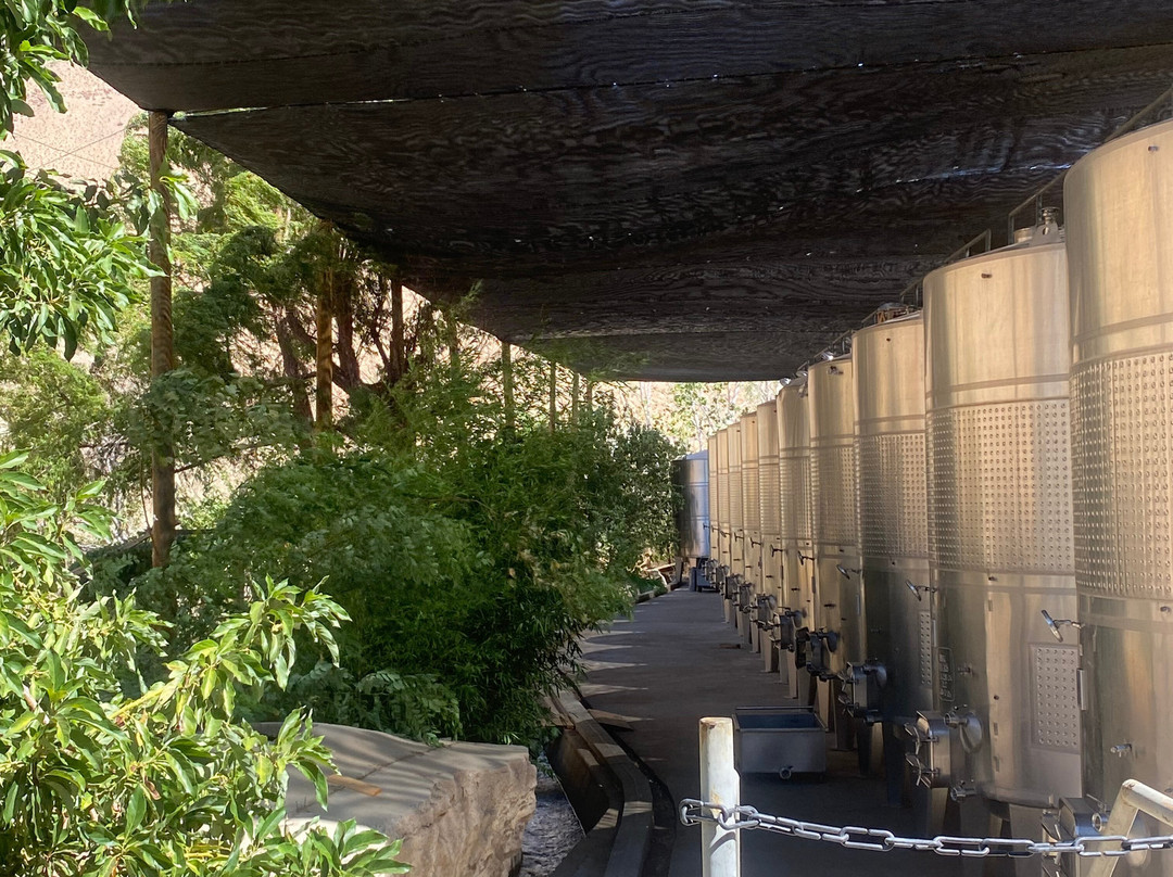 Fundo Los Nichos-Pisco Elqui必去景点