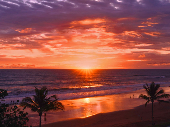 Desa Potato Head Bali