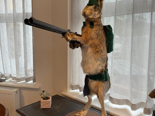 Basset Arms Portreath-Portreath必去景点