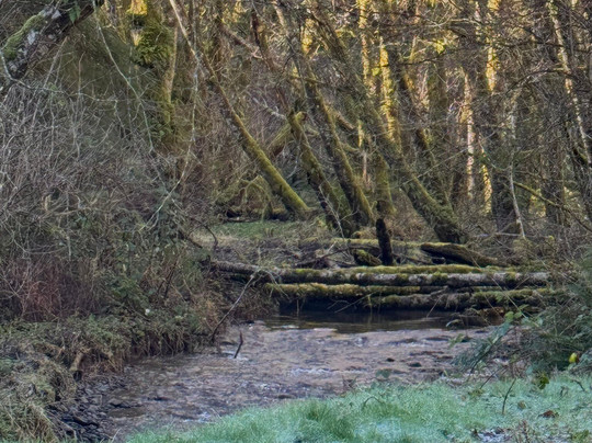 Drift Creek Covered Bridge-林肯城必去景点