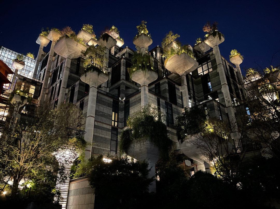 大洋晶典·天安千树