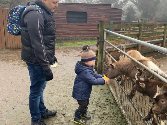 Hoo Zoo And Dinosaur World-特尔福德必去景点