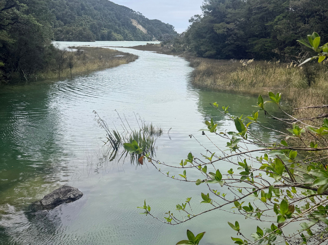 Abel Tasman Guides-玛拉豪必去景点