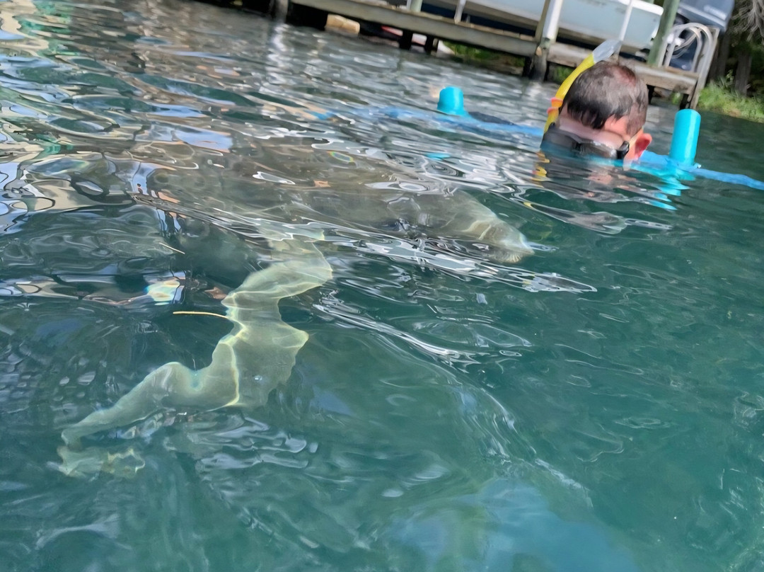 Manatee Tours & More-Homosassa必去景点