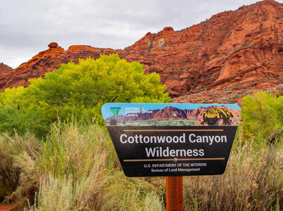 Red Cliffs National Conservation Area-圣乔治必去景点