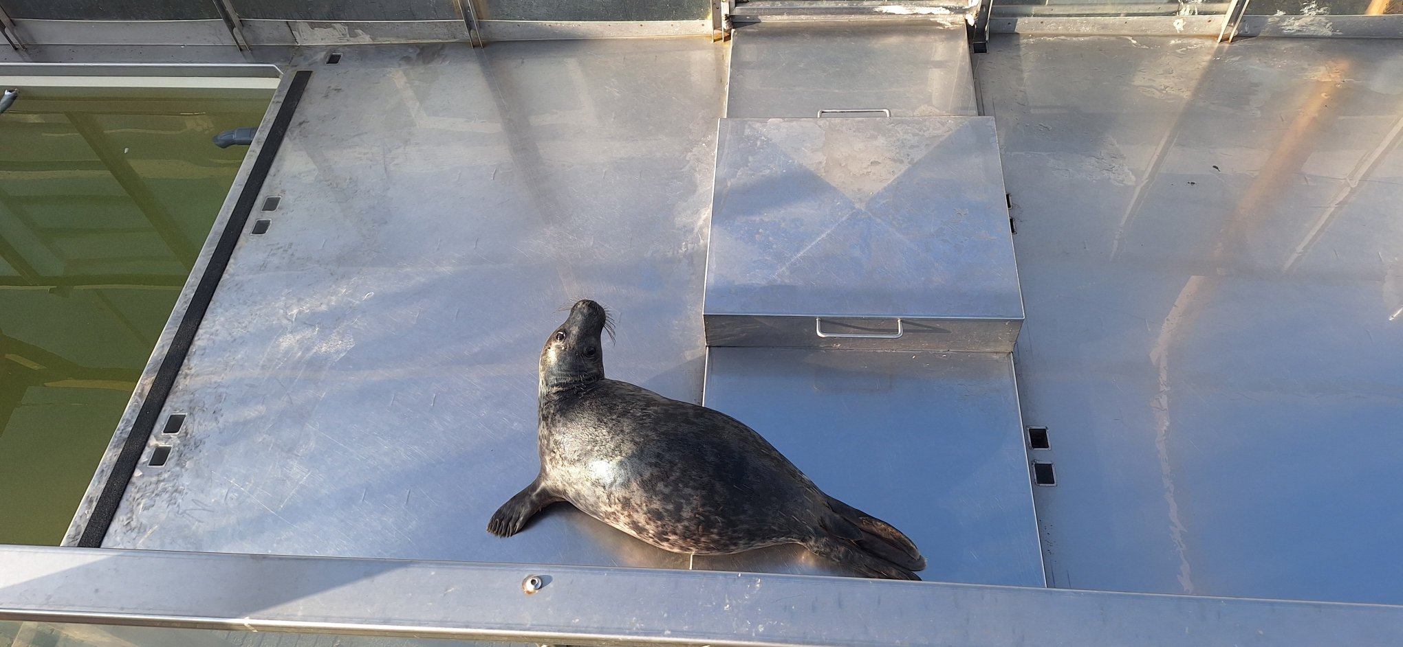 Bed En Baguette-官方