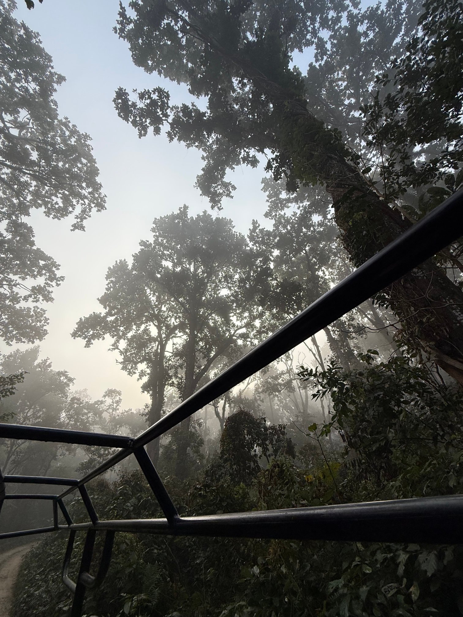 Soaltee Westend Resort Chitwan-官方