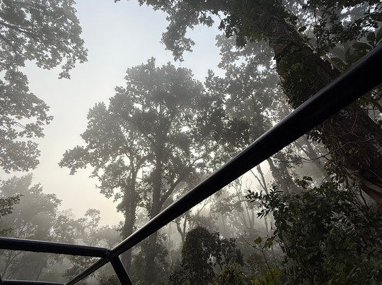 Soaltee Westend Resort Chitwan主图