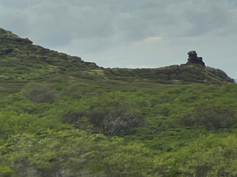 Go Tours Hawaii-火奴鲁鲁必去景点