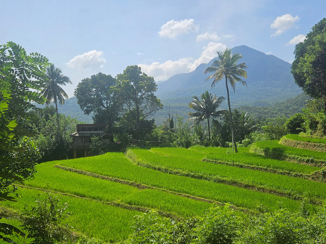Sri Lanka Knuckles Trekking-康提必去景点