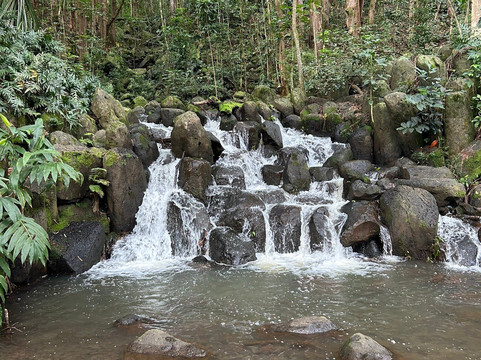 Secret Falls Trail-Wailua必去景点