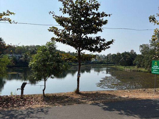 Namasthe Ayurveda And Yoga Retreat-尼杜巴塞莱必去景点