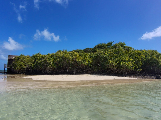 TY-Domino Catamaran-Le Robert必去景点