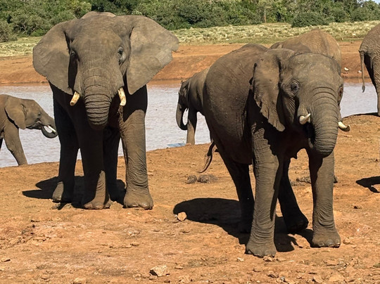 The Olmalaika Trust-Sekenani必去景点