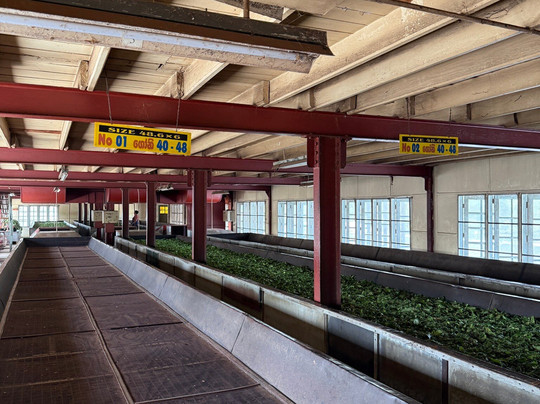 Tsara Tea-Akuressa必去景点