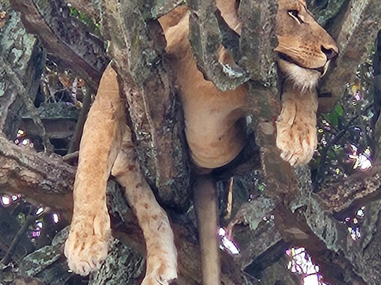 Empirical Tour and Travel Ltd-吉塞尼必去景点