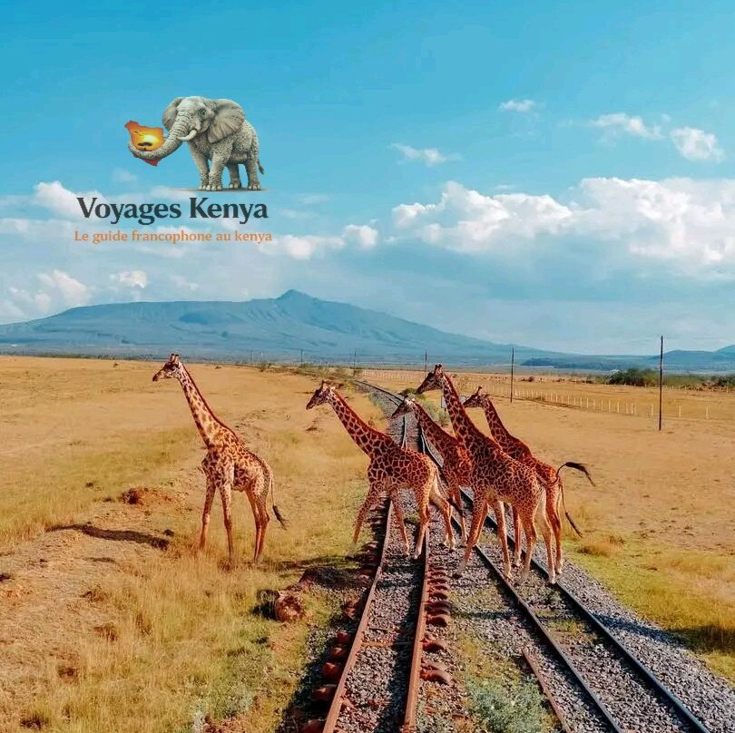Excursions Bahati KENYA-瓦塔木必去景点