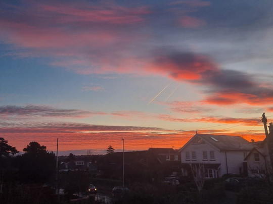 The Birds Nest - Brixton