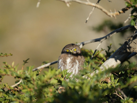 Iso100 Outdoor-Torres del Paine必去景点