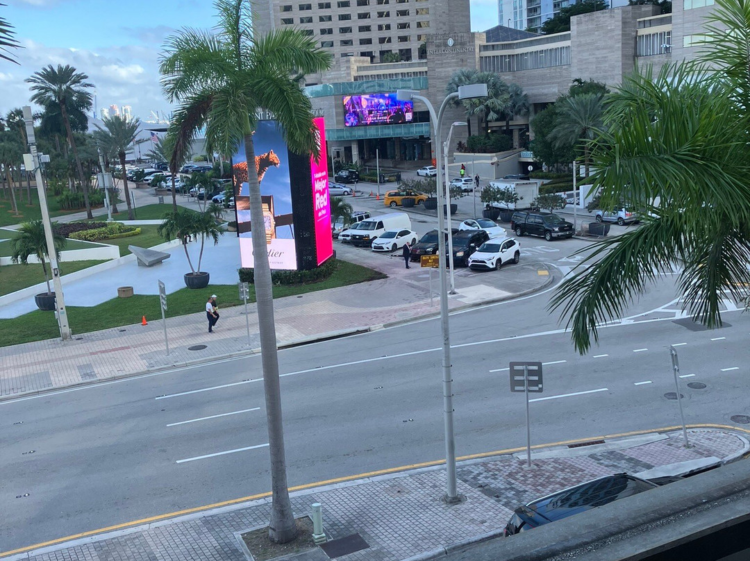 迈阿密城市轻轨观光-迈阿密必去景点