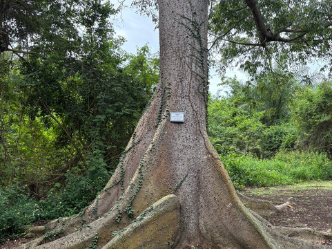 Tibes Indigenous Ceremonial Center-庞塞必去景点