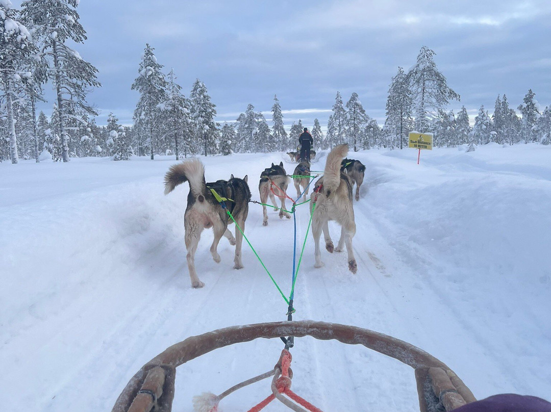Tundra Huskies Huskyfarm-Levi必去景点